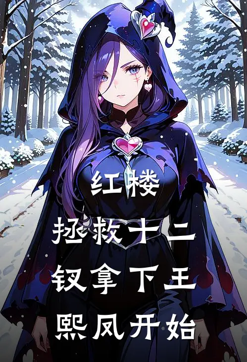 红楼：拯救十二钗拿下王熙凤开始