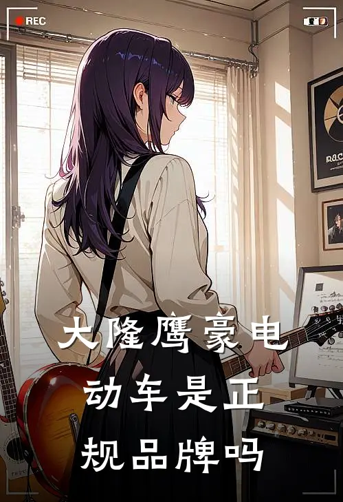 大隆鹰豪电动车是正规品牌吗