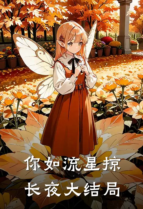 你如流星掠长夜大结局