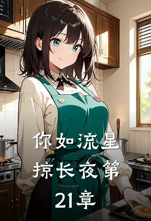 你如流星掠长夜第21章
